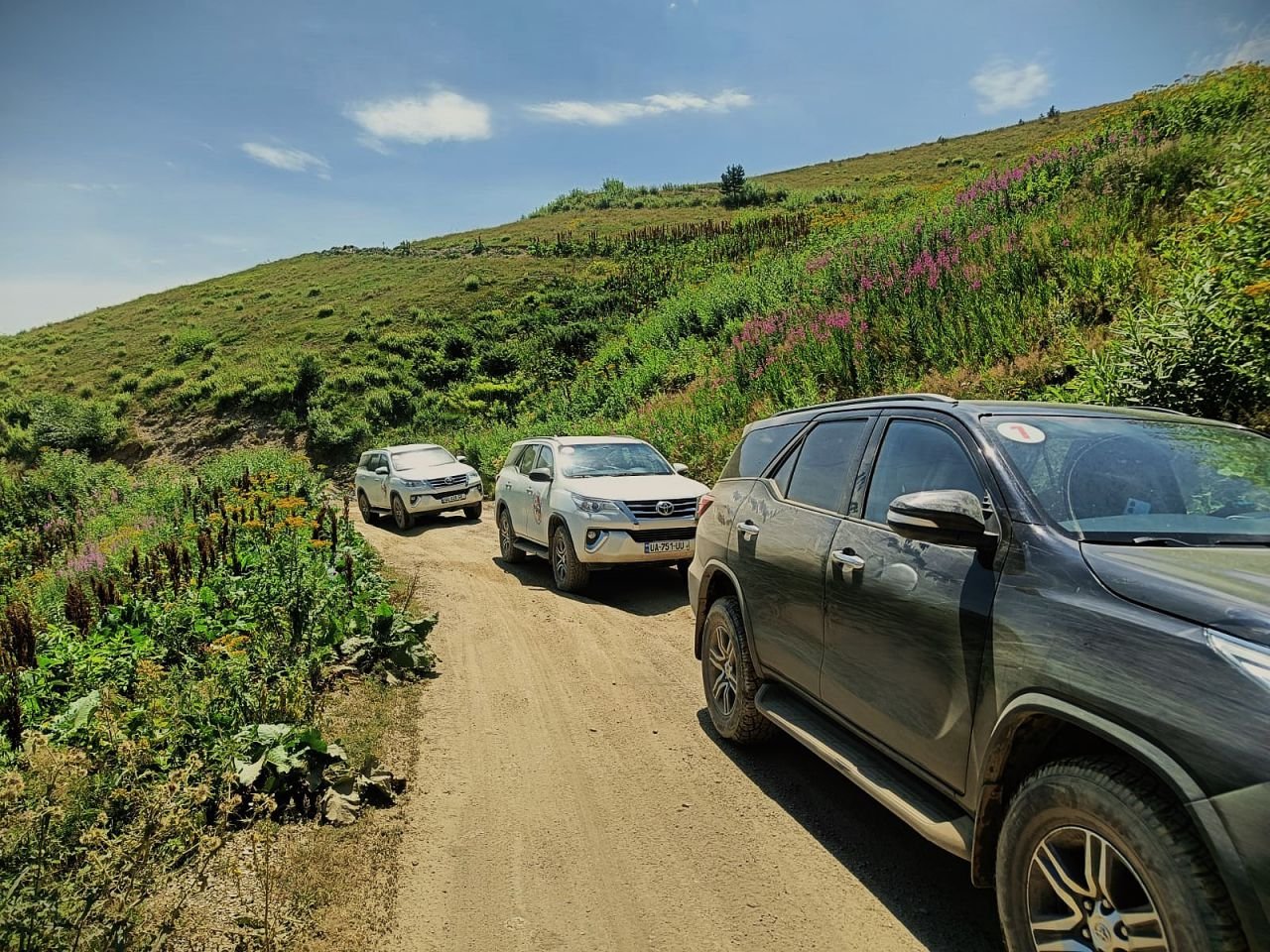SUV Expeditions